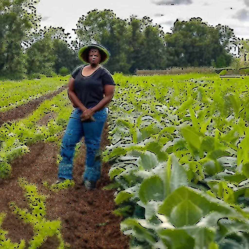 You are currently viewing These small Black – owned farms are growing crops with the climate in mind.