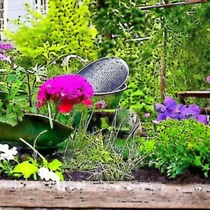 Read more about the article Gardener shares four gardening mistakes that could be causing havoc in your outside space.