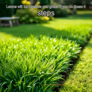 Read more about the article Lawns will be luscious and green if you do these 4 steps
