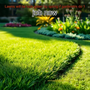 Read more about the article Lawns will be lush green by spring if gardeners do 1 job now