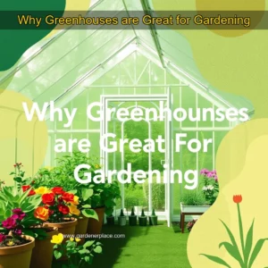 Read more about the article Why Greenhouses are Great for Gardening