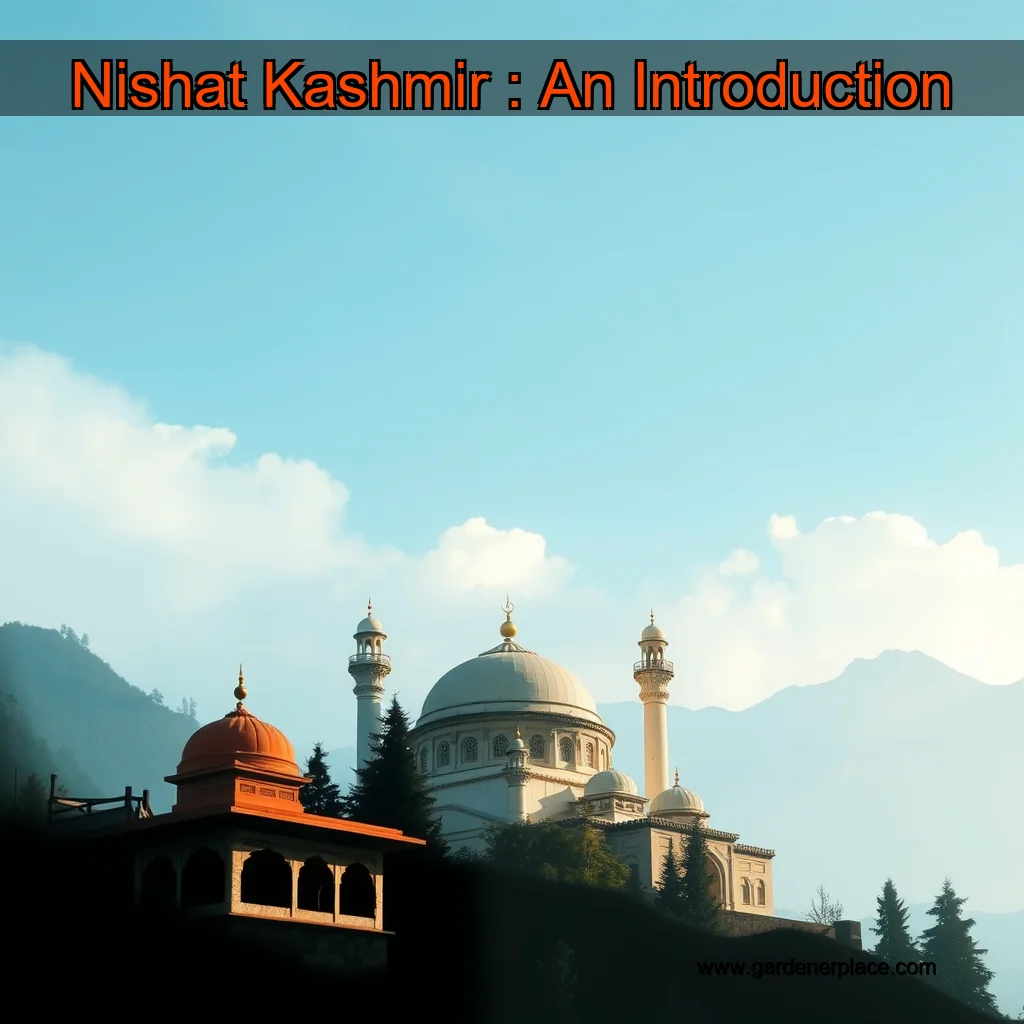 Read more about the article Nishat Kashmir : An Introduction