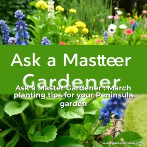 Read more about the article Ask a Master Gardener : March planting tips for your Peninsula garden